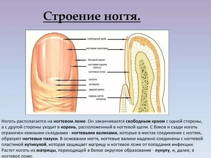 Гель-лак-нужен-ли-от-него-отдых-ногтям?-02