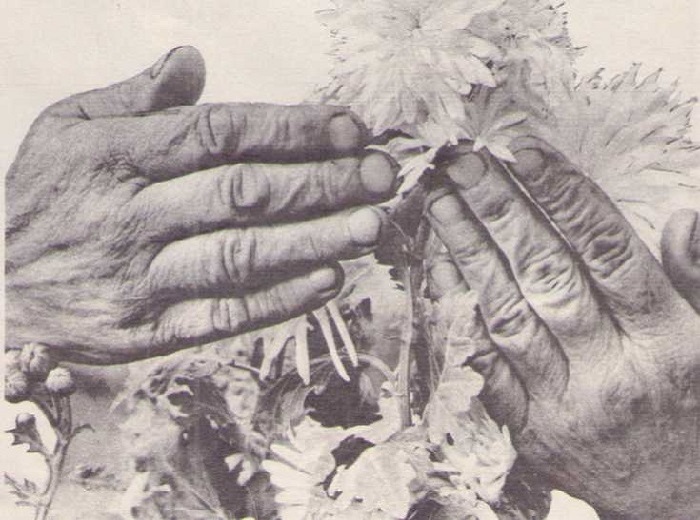 Народ-и-народное-творчество-01