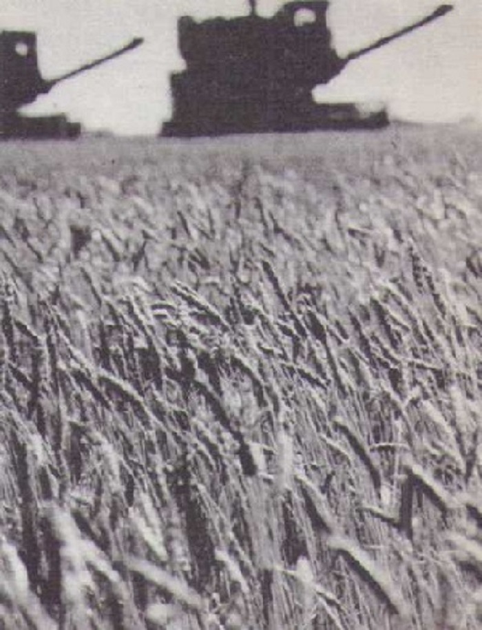 Пора-сухороса-04