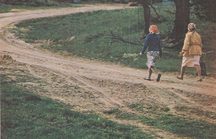 Маленькие-фермы-02