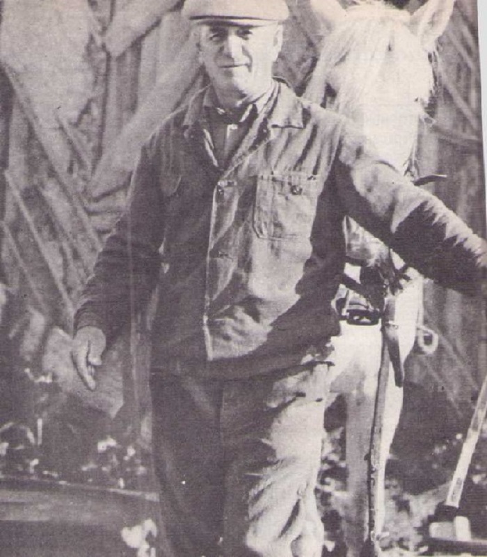 Отец-и-двенадцать-детей-01