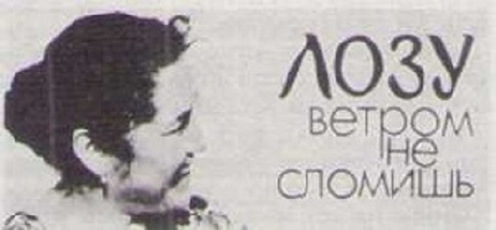 Лозу-ветром-не-сломишь-01 Лозу-ветром-не-сломишь-01