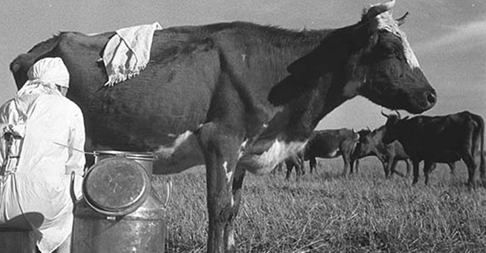 Крестьянка-принимает-меры-по-письмам-читателей-01