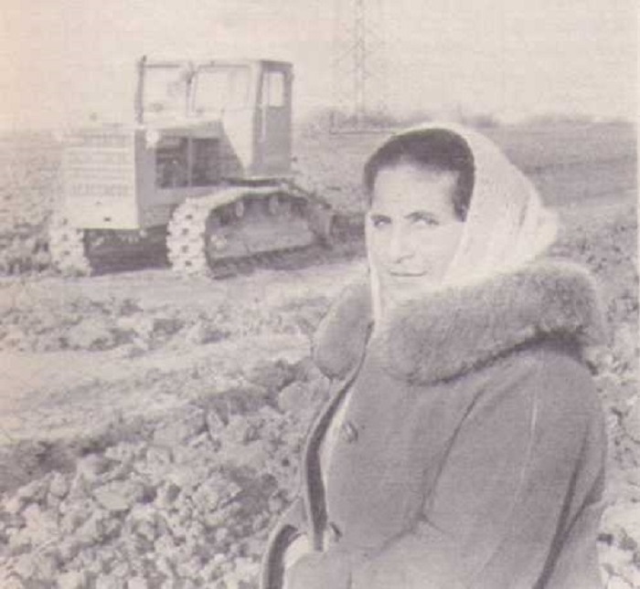 Праздник-урожая-03