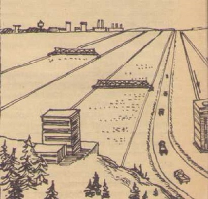 Животноводческая-ферма-01