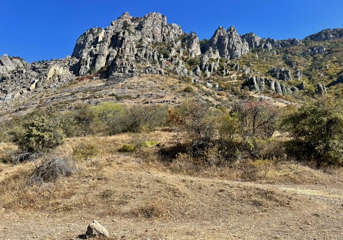 Мир-природы-Крыма-02