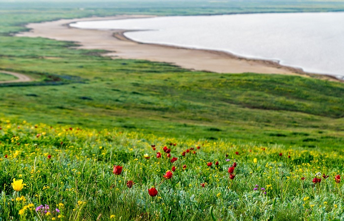 Мир-природы-Крыма-04