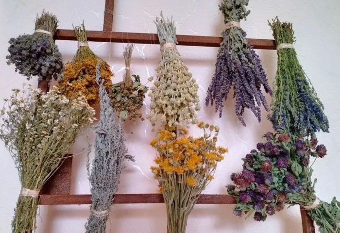 Травы-Крыма-04