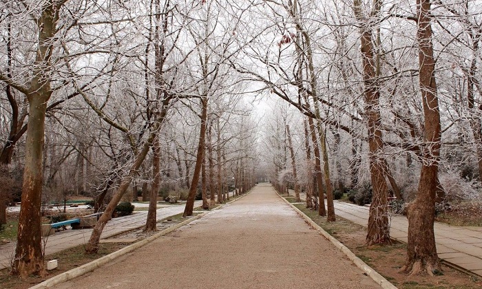 Погода-в-Саках-04