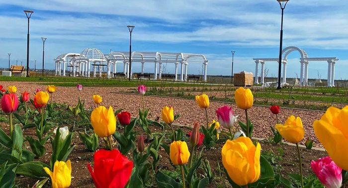 Погода-в-Саках-05