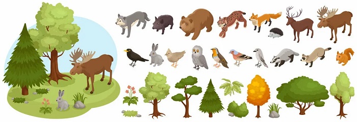 Дикие-животные-01 Дикие-животные-01