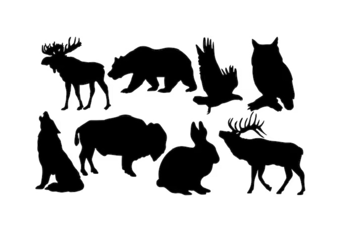 Дикие-животные-03 Дикие-животные-03