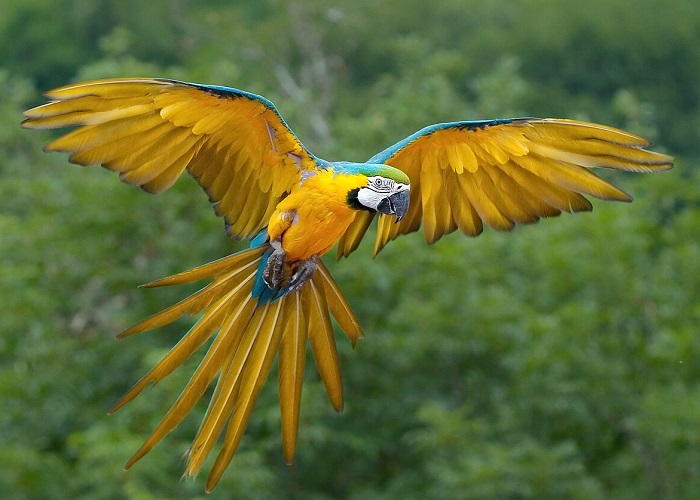 Картинки-животных-страница-ш-03 Картинки-животных-страница-ш-03