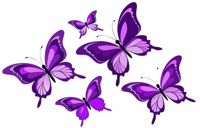 Картинки-бабочек-03
