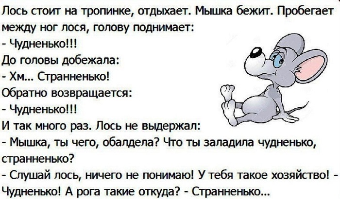 Короткие-анекдоты-113