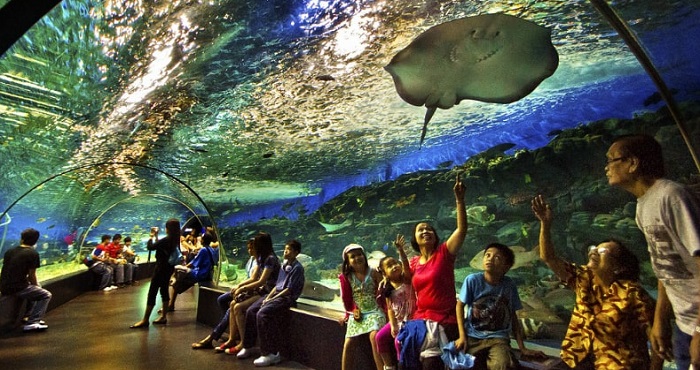 Океанариум-Underwater-World-02 Океанариум-Underwater-World-02