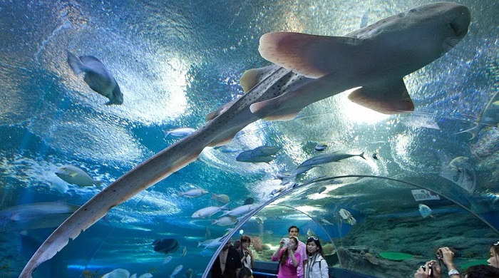 Океанариум-Underwater-World-03 Океанариум-Underwater-World-03