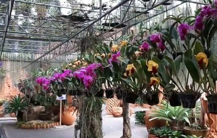 Сад-Нонг-Нуч-04