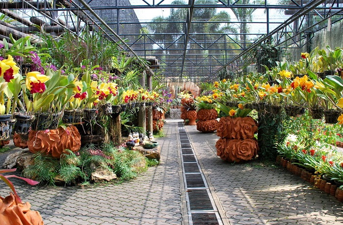 Сад-Нонг-Нуч-05