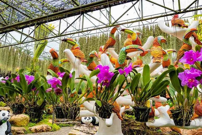 Сад-Нонг-Нуч-06