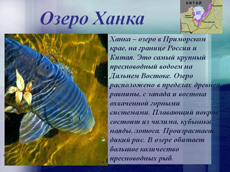 Цель проекта реки россии